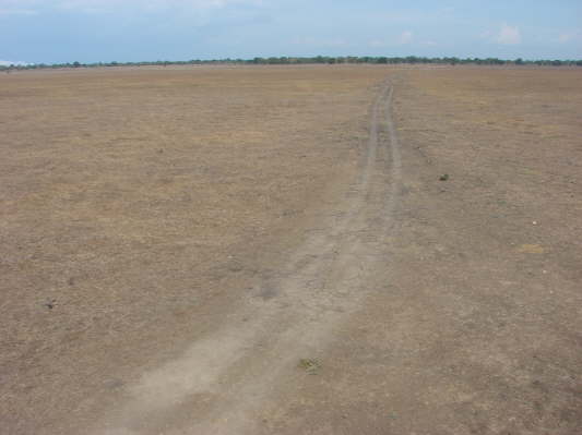 Gorongosa Nationalpark
