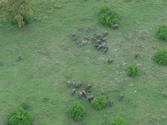 Okavango Delta