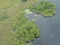 Okavango Delta