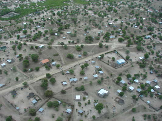 Maun