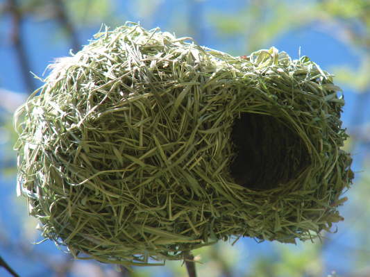 Arebbusch Lodge, Windhoek