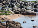 Ruaha Nationalpark