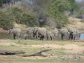 Ruaha Nationalpark