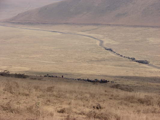 Ngorongoro Conservation Area