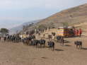 Ngorongoro Conservation Area