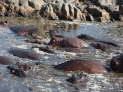 Serengeti Nationalpark