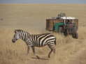 Massai Mara Nationalpark