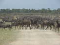 Massai Mara Nationalpark