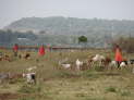 Massai Mara Viewpoint