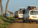 Murchison Falls Nationalpark