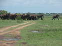 Murchison Falls Nationalpark