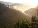 am Bwindi Nationalpark