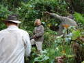 Bwindi Nationalpark