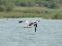 Queen Elizabeth Nationalpark