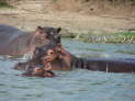 Queen Elizabeth Nationalpark