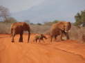 Tsavo East Nationalpark