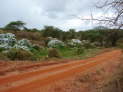 Tsavo West Nationalpark