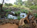 Tsavo West Nationalpark