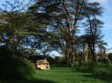 Lake Naivasha