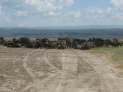 Lake Nakuru Nationalpark