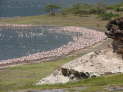 Lake Bogoria National Reserve