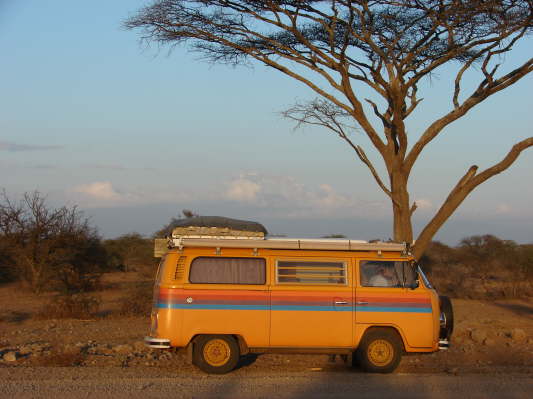 Kilimanjaro