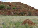 Farm Tiras