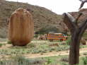 Farm Tiras