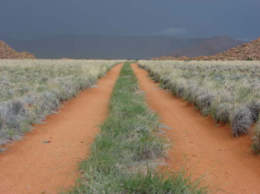 Farm Tiras
