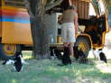 Clanwilliam