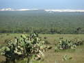 Addo Elefant Nationalpark