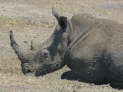 Umfolozi Hluhluwe Nationalpark