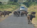 Umfolozi Hluhluwe Nationalpark