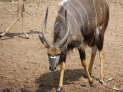 Mkuze Nationalpark