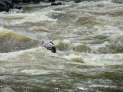 db_25-029-