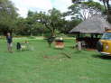 db_25-038- db_25-038-