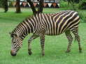 db_25-040-