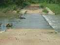db_25-054-